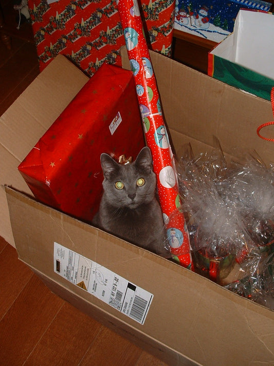 Christmas Hacks for Moms with Littles